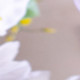 thumb_image