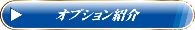 オプション紹介