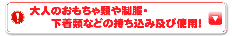 大人のおもちゃ類や制服・下着類などの持ち込み及び使用！